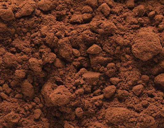 4 Surprising Benefits of Cacao in Shroovy Mushroom Coffee (and How to Maximize Them)