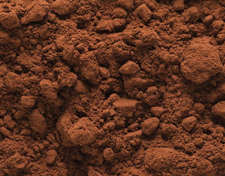 4 Surprising Benefits of Cacao in Shroovy Mushroom Coffee (and How to Maximize Them)